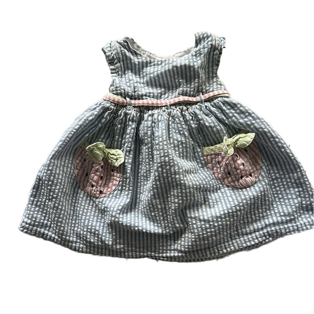 Emma’s Gardens dress. Size 12 months
